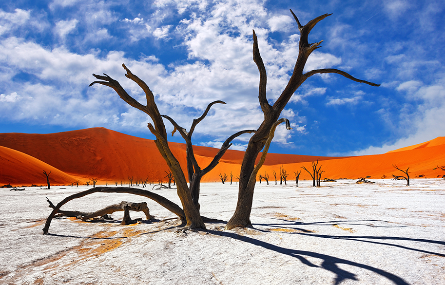 Sossusvlei Desert Lodge · NamibRand, Namibia